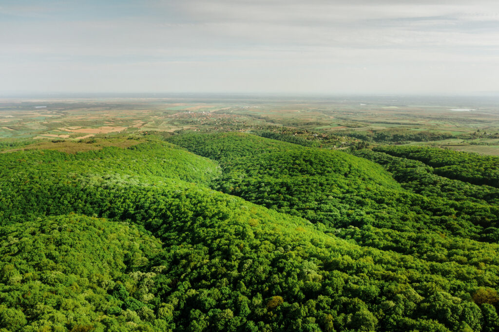 Fruška gora, slikana iz ptičje perspektive